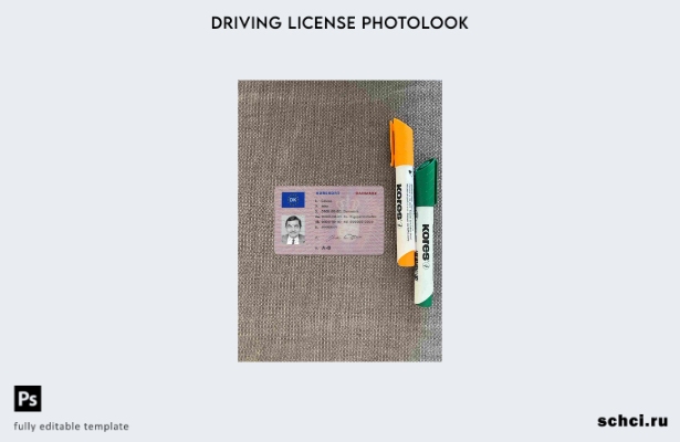 цифровая загрузка водительских прав Дании ( ) шаблон Photolook FRONT